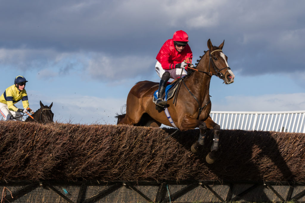 THE SUFFOLK AT AMPTON - REPORT & RESULTS - Pointing EA