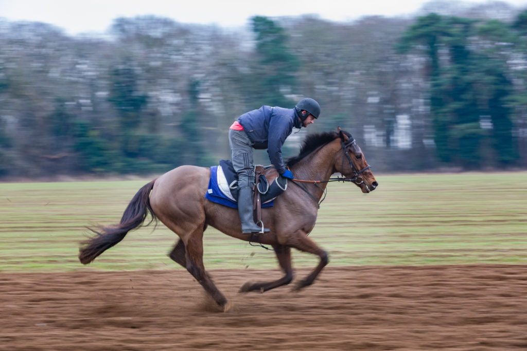 Jimmy is back riding out for David Kemp