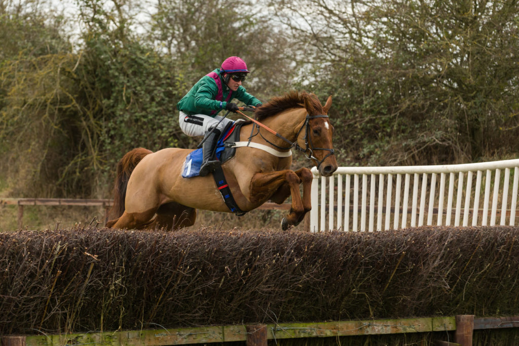 REPORT: DUNSTON HARRIERS AT AMPTON ON SUNDAY JANUARY 14th - Pointing EA